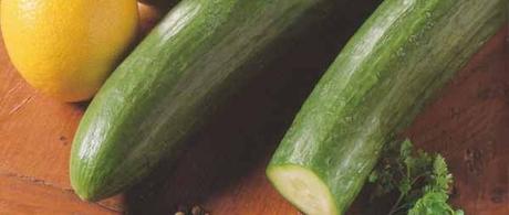 concombre-w
