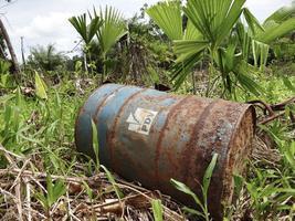 Très profitables et impunis, les crimes environnementaux se multiplient Très profitables et impunis, les crimes environnementaux se multiplient