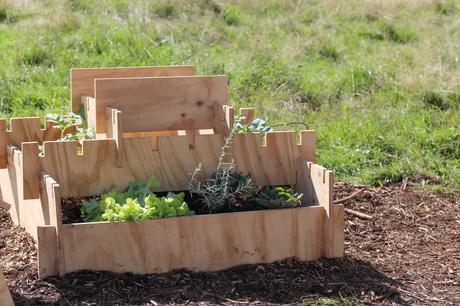 Discoveries No.11 POC 21 poc21 (42 sur 24)