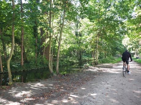 L’automne, vive l’automne !