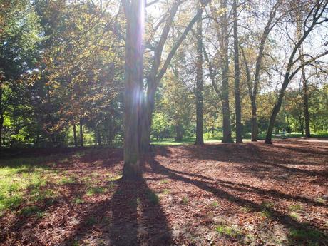 L’automne, vive l’automne !