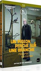 Critique Bluray: un Pigeon perché sur une branche philosophait sur l’existence