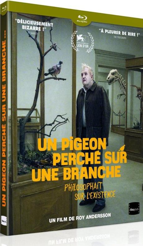Critique Bluray: un Pigeon perché sur une branche philosophait sur l’existence