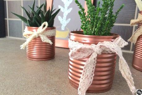 Projet DIY #4 : dentelle Dentelle-cadre-cactus-dvdp