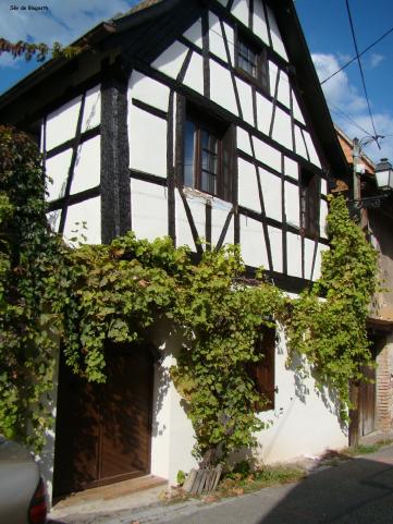 boersch_maison_blanche_feuillage