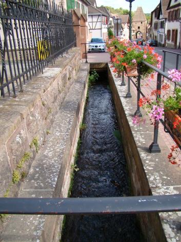 boersch_ruisseau_geraniums