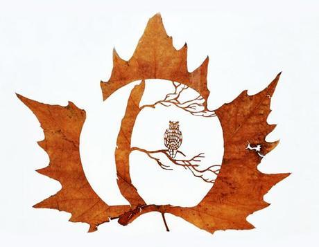 Illustrations-Lorenzo-Duran-Art-Decoupe-Feuilles-Mortes-3