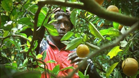 Mediterranea : l'Occident, eldorado des migrants?? Mediterranea