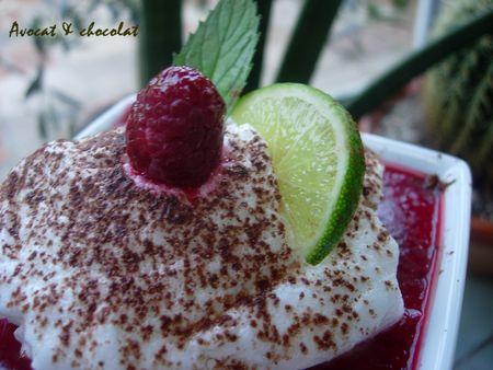 Coulis_framboise_menthe_citron_vert_et_son_nuage_meringu__tr_s_l_ger