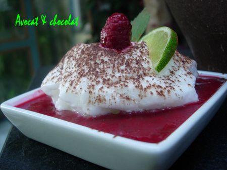 Coulis_framboise_menthe_citron_vert_et_son_nuage_meringu__tr_s_l_ger