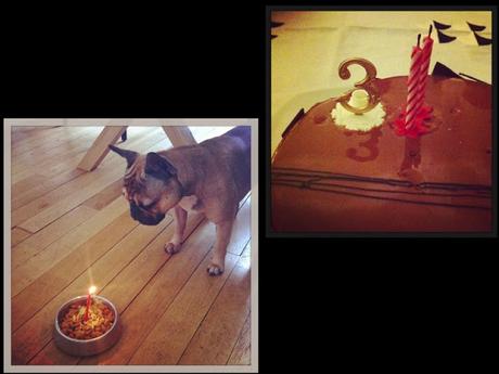 UNE VIE SOUS INSTAGRAM # 27