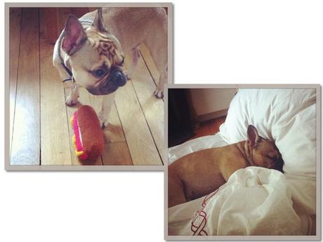 UNE VIE SOUS INSTAGRAM # 27