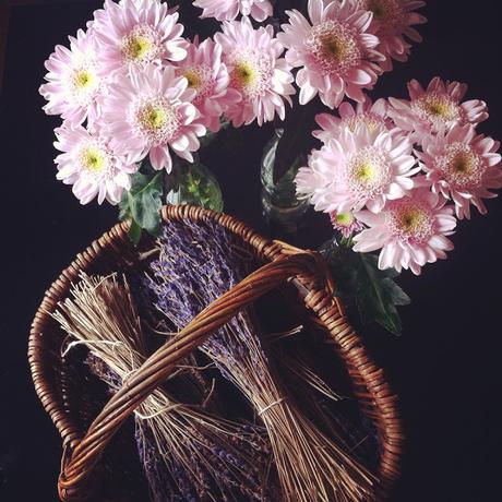 UNE VIE SOUS INSTAGRAM # 27