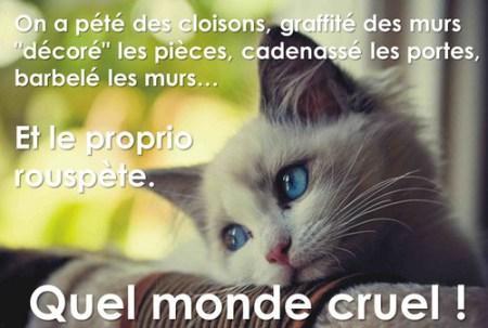 L’État s’occupe encore d’immobilier. La catastrophe s’aggrave. monde cruel