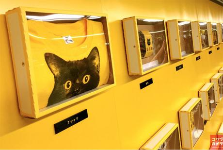 Metro-Chat-YamatoTransport02