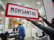 bannis majorité pays européens