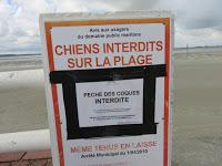 Côte picarde... fin !