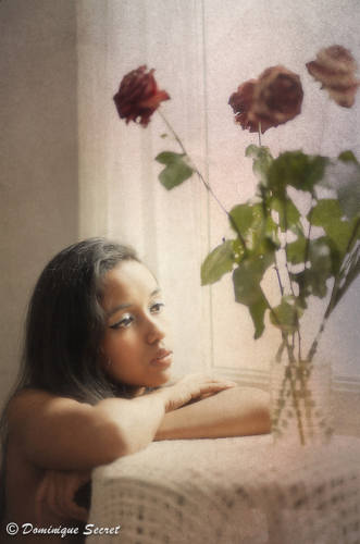 in the sun, au soleil, roses, flowers, fleurs, songe, songeur, rêve, rêveur, dreamy, pensive