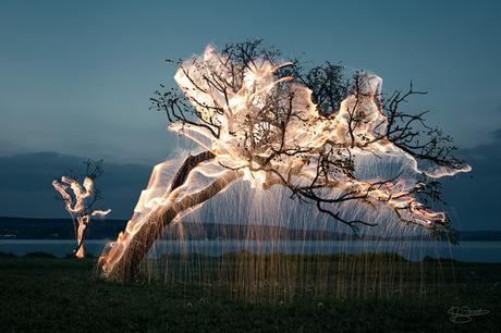 Vitor Schietti illumine la nature et en fait des photographies incroyables