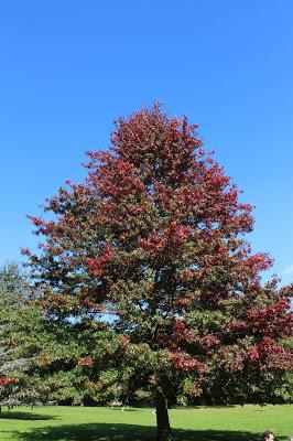 Un après-midi au parc de Monceau...
