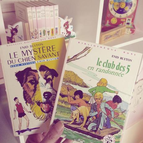 Livres Bibliothèque rose Vintage