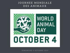 Journée Mondiale des Animaux, et si on se mobilisait
