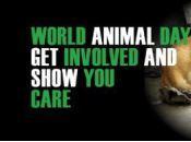 Journée Mondiale Animaux, mobilisait