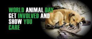 Journée Mondiale des Animaux, et si on se mobilisait