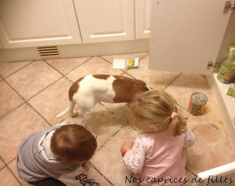 Ma semeine en images #35