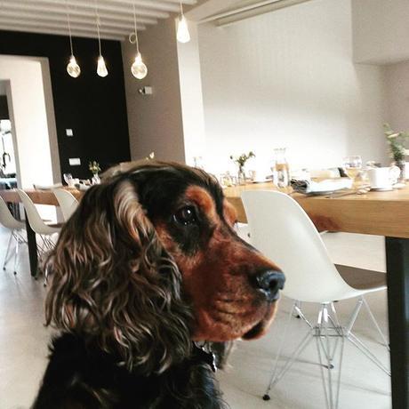 Italie / Malatesta Maison de charme /