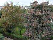 Rochelle quartier Genette vent debout