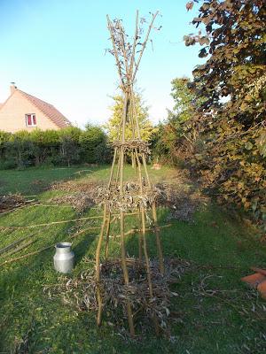 Constructions en saule : un bon début !