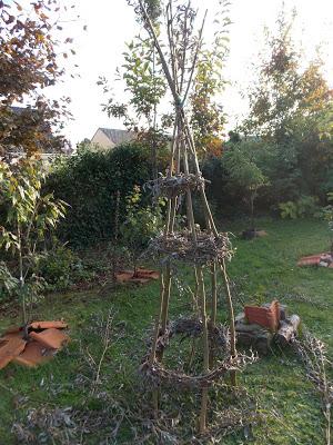 Constructions en saule : un bon début !