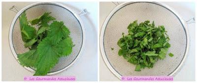 Germes de soja en omelette aromatisée et sauce aux orties (Végétarien)