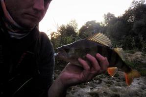 Partenariat avec French Touch Fishing