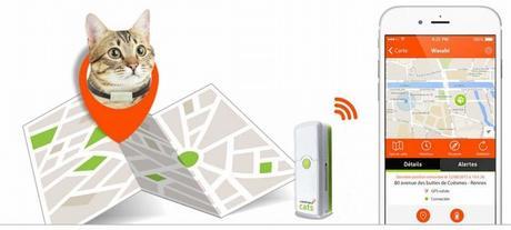 Weenect Cats, un GPS avec carte SIM pour communiquer et ne jamais perdre son chat