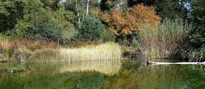 Le jardin botanique de Munich en automne