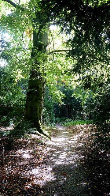 Le jardin botanique de Munich en automne