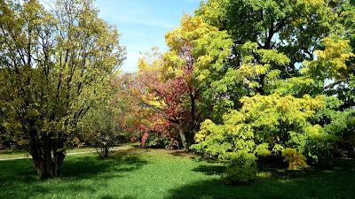 Le jardin botanique de Munich en automne