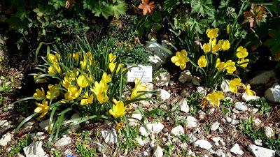 Le jardin botanique de Munich en automne