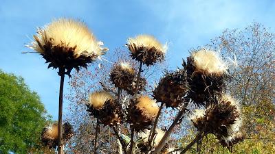 Le jardin botanique de Munich en automne
