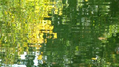 Le jardin botanique de Munich en automne