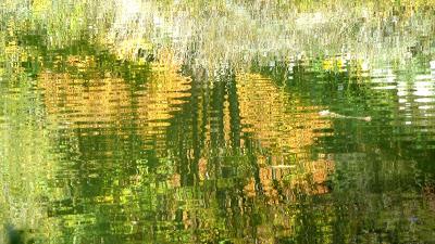 Le jardin botanique de Munich en automne