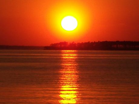 Pourquoi tout est conscience