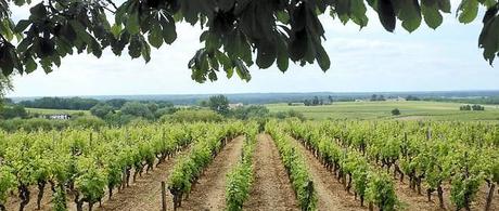 TGV : une gabegie sans fin. Les TGV Bordeaux-Toulouse et Bordeaux-Dax cumulent les oppositions