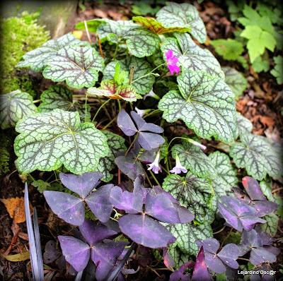 Heuchères and Co (1/2)...