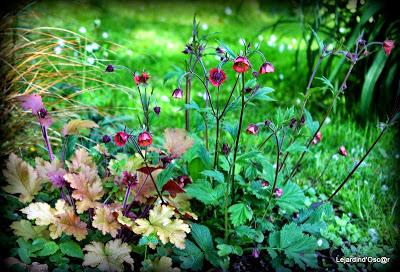 Heuchères and Co (1/2)...