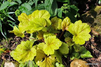 Heuchères and Co (1/2)...