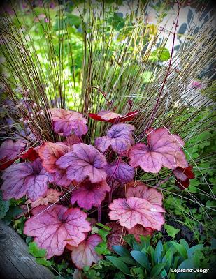 Heuchères and Co (1/2)...