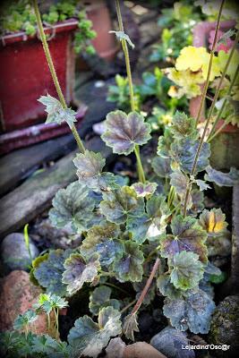 Heuchères and Co (1/2)...